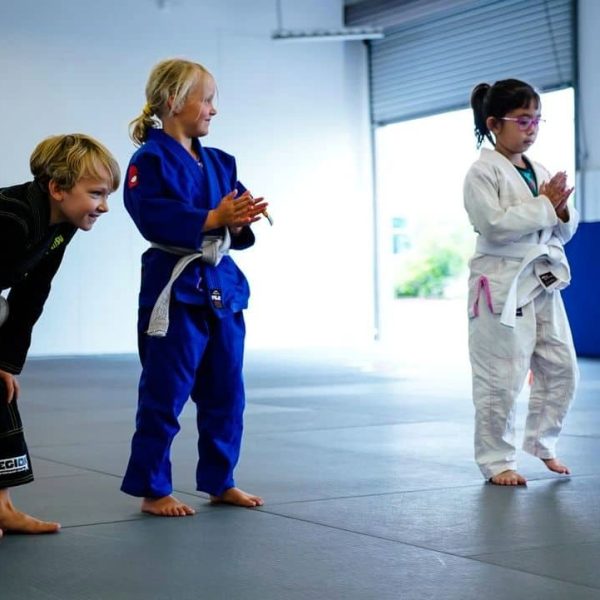 The power of Jiu Jitsu for kids